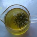 Baokang Green Chrysanthemum Tea