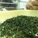 Tè Verde del Padiglione di Pietra