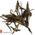 Yunnan Pine Needle