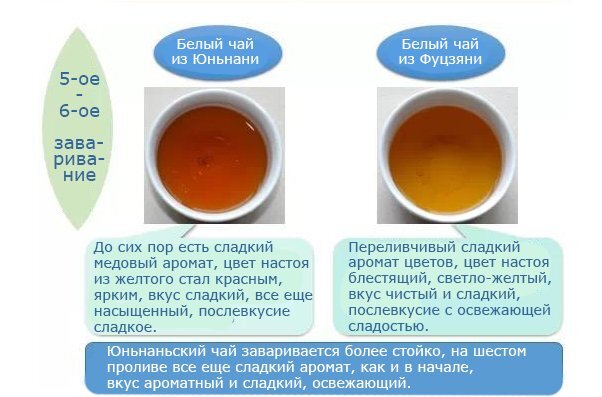 Сравнение заваренного чая