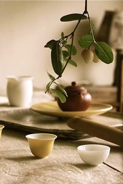 About the Kind of Taiwan Oolongs