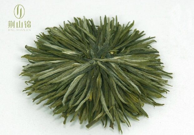 Baokang Green Chrysanthemum Tea