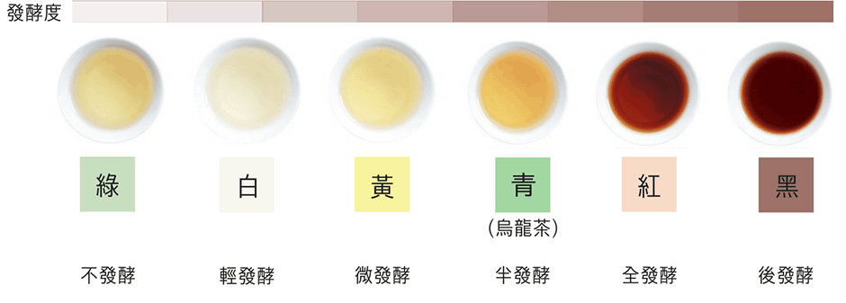 Степень ферментации чайного листа